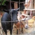 my faith in humanity is&nbsp;restored